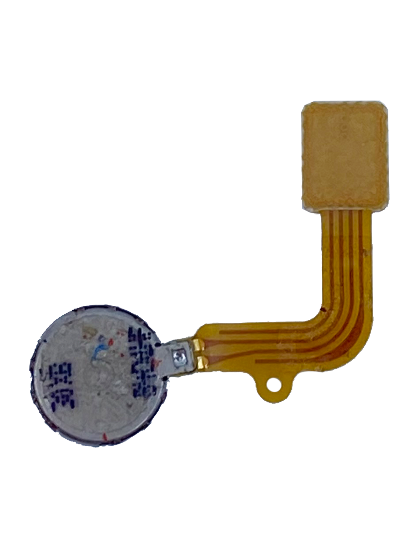 Vibrator For Samsung Galaxy Tab 8.9" (P7300) Samsung Galaxy Tab replacement part image 2