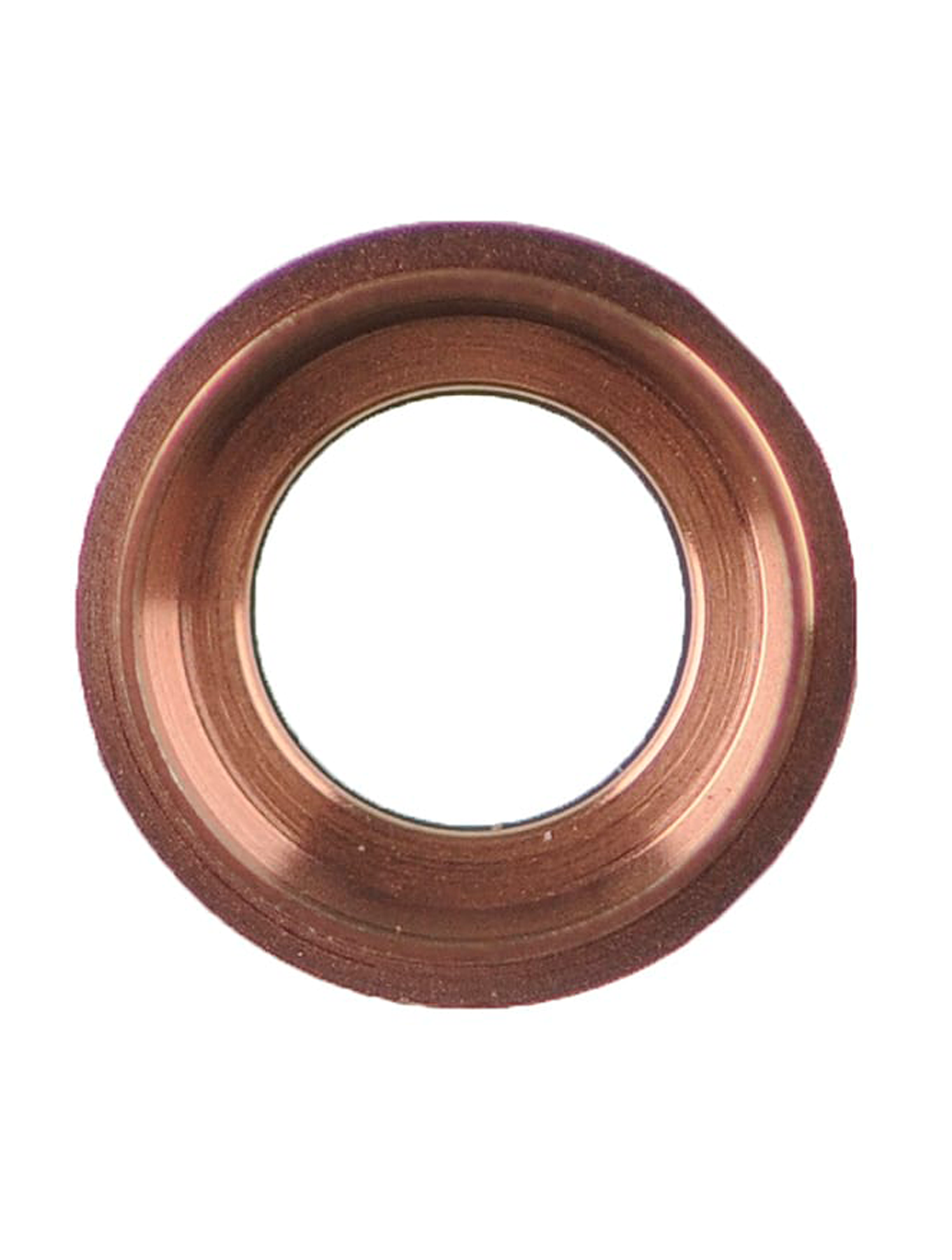 Back Camera Lens For iPad Pro 9.7" (Rose Gold)