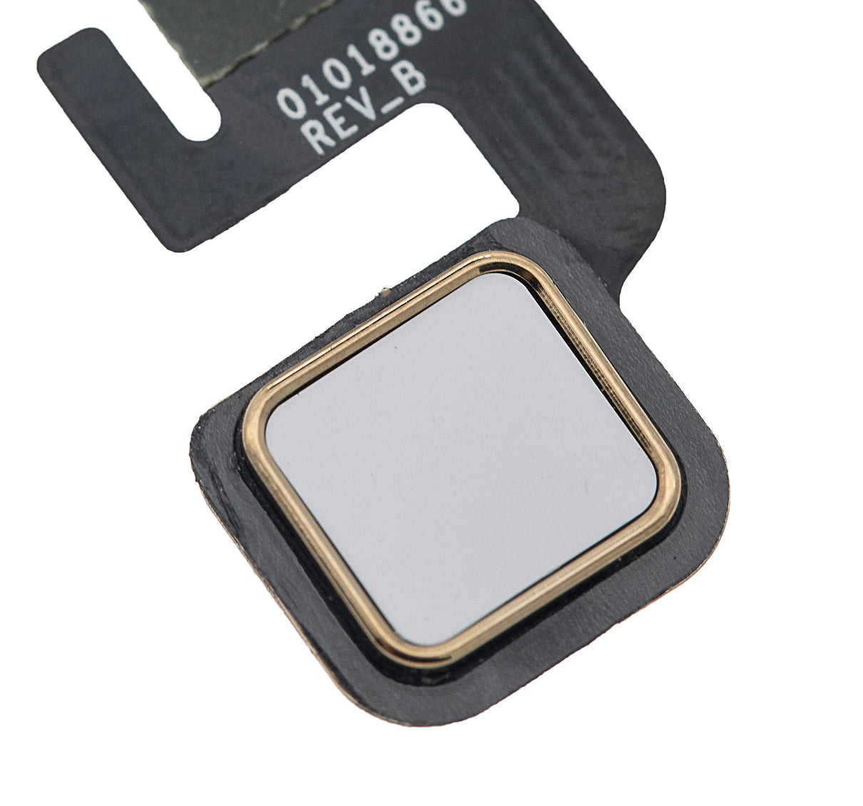 Home Button Flex Cable For Motorola Moto Z Droid (XT1650 / 2016) (White) - Motorola replacement part, secondary detail view, SKU 107082031331