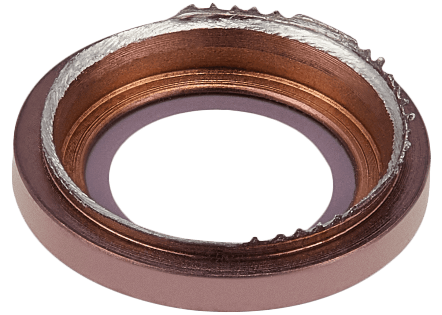 Back Camera Lens For iPad Pro 12.9" 2nd Gen (2017) (Rose Gold)