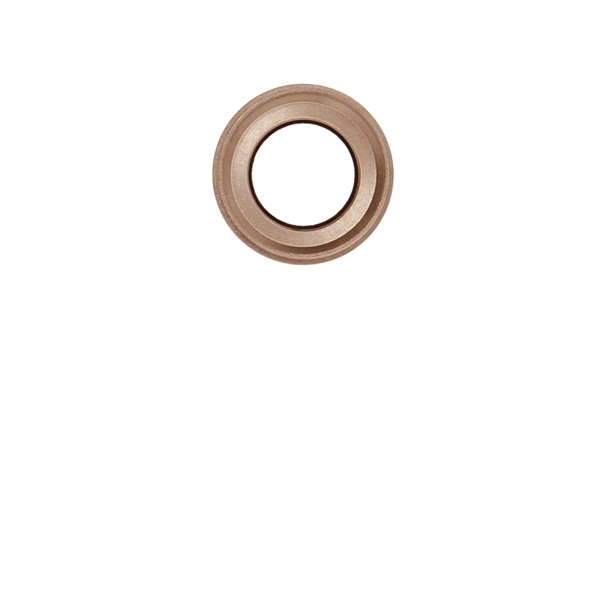 Back Camera Lens For iPhone 6 / 6S (Gold) (10 Pack)