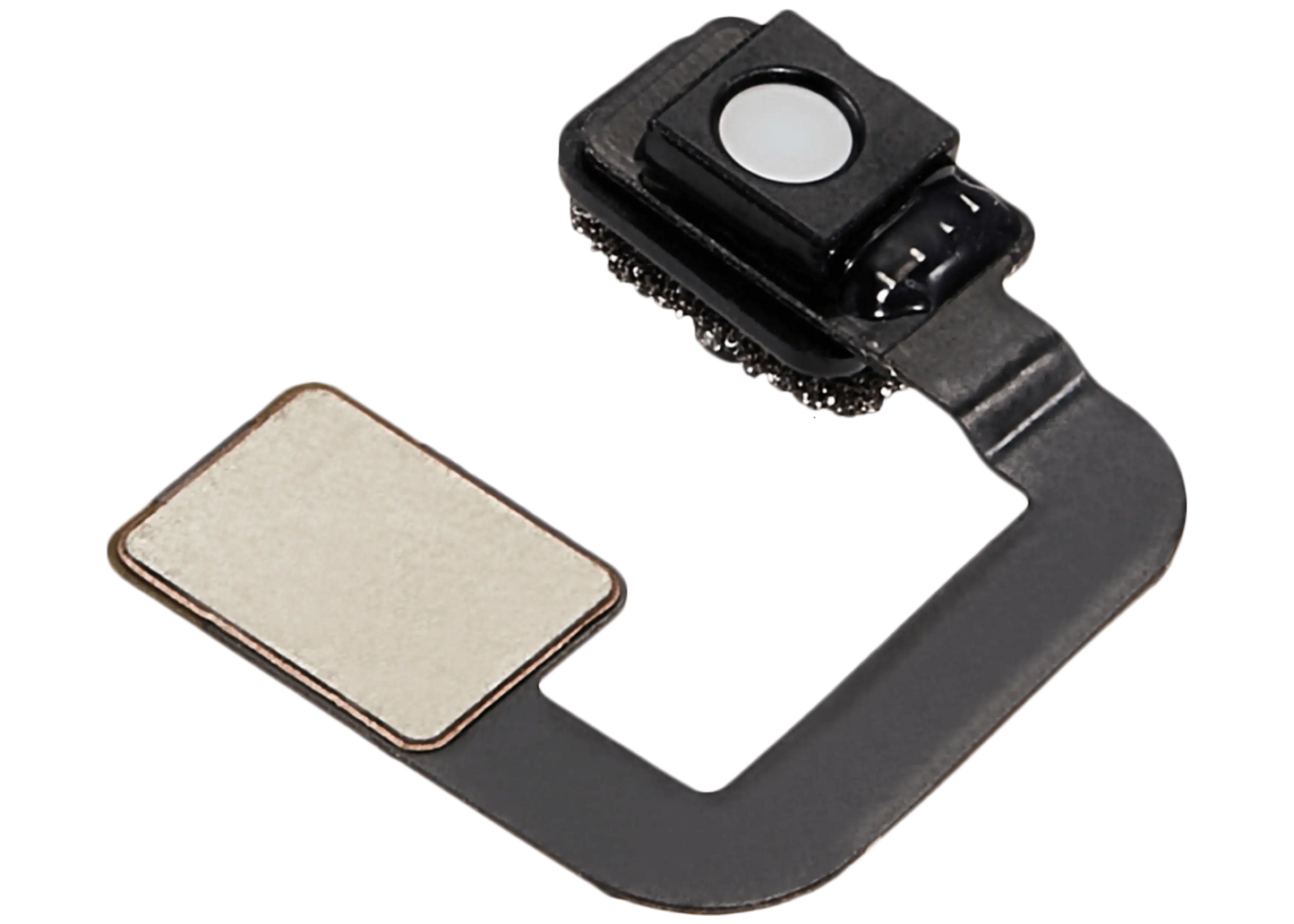 Proximity Sensor Flex Cable For iPad Pro 11" 5th Gen / 13" 7th Gen (2024) (Premium)