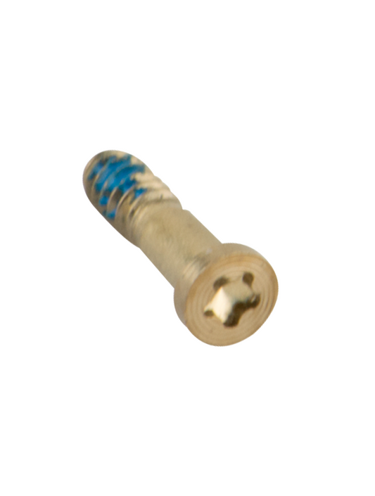 Bottom Screws For iPhone 5S (Gold) (100 Pack)