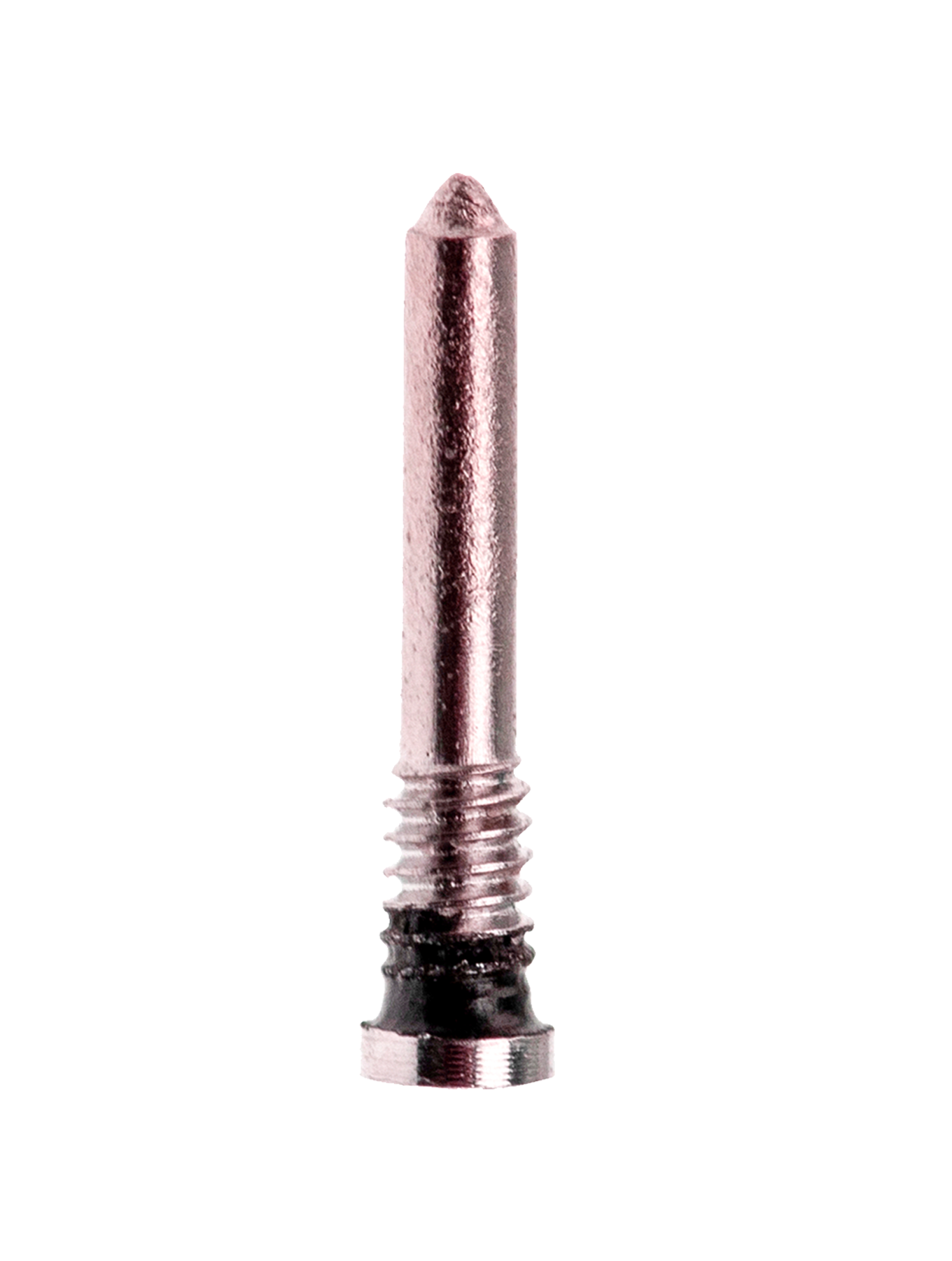 Bottom Screws For iPhone 11 / 12 / 12 Mini (Purple) (100 Pack)