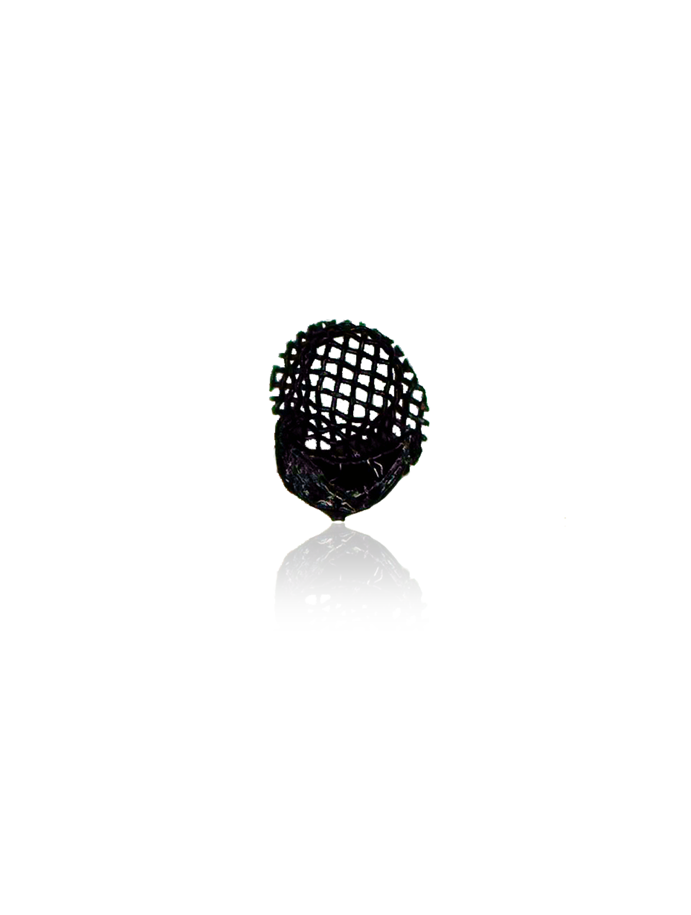 Loudspeaker / Mic Mesh For iPhone XS (Black) (10 Pack)