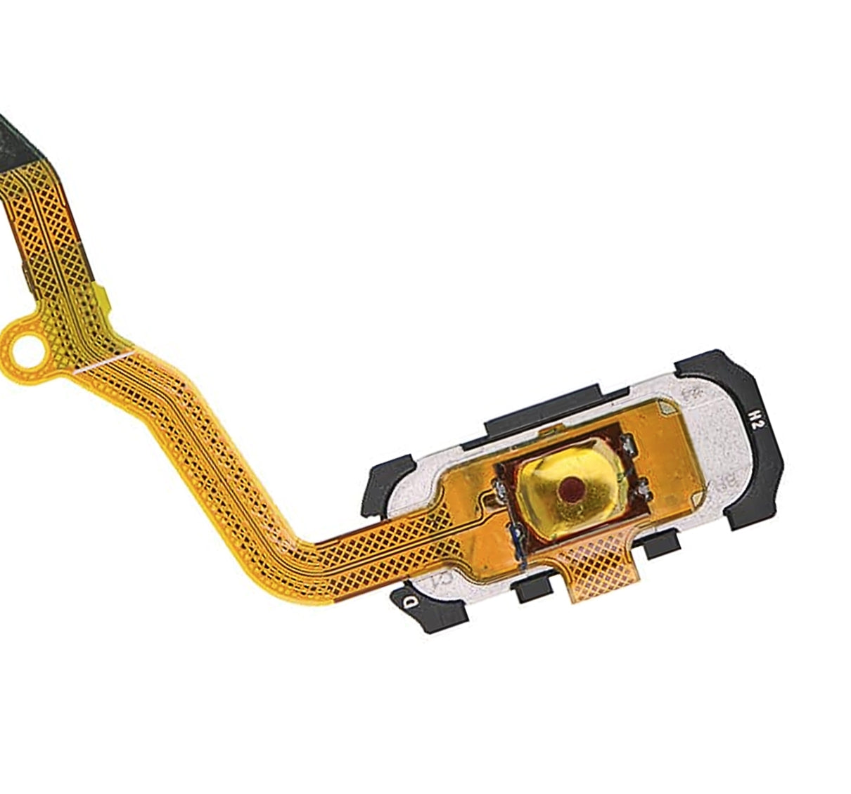 Home Button Flex Cable For Samsung Galaxy S7 Edge (Coral Blue)