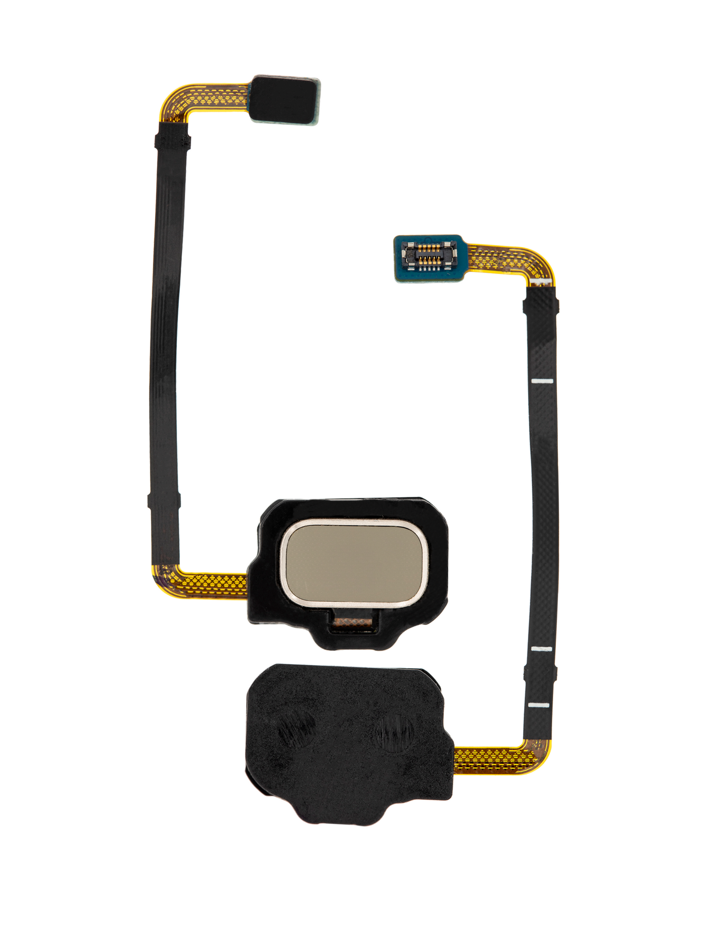 Fingerprint Reader With Flex Cable For Samsung Galaxy S8 Active (Tungsten Gold)