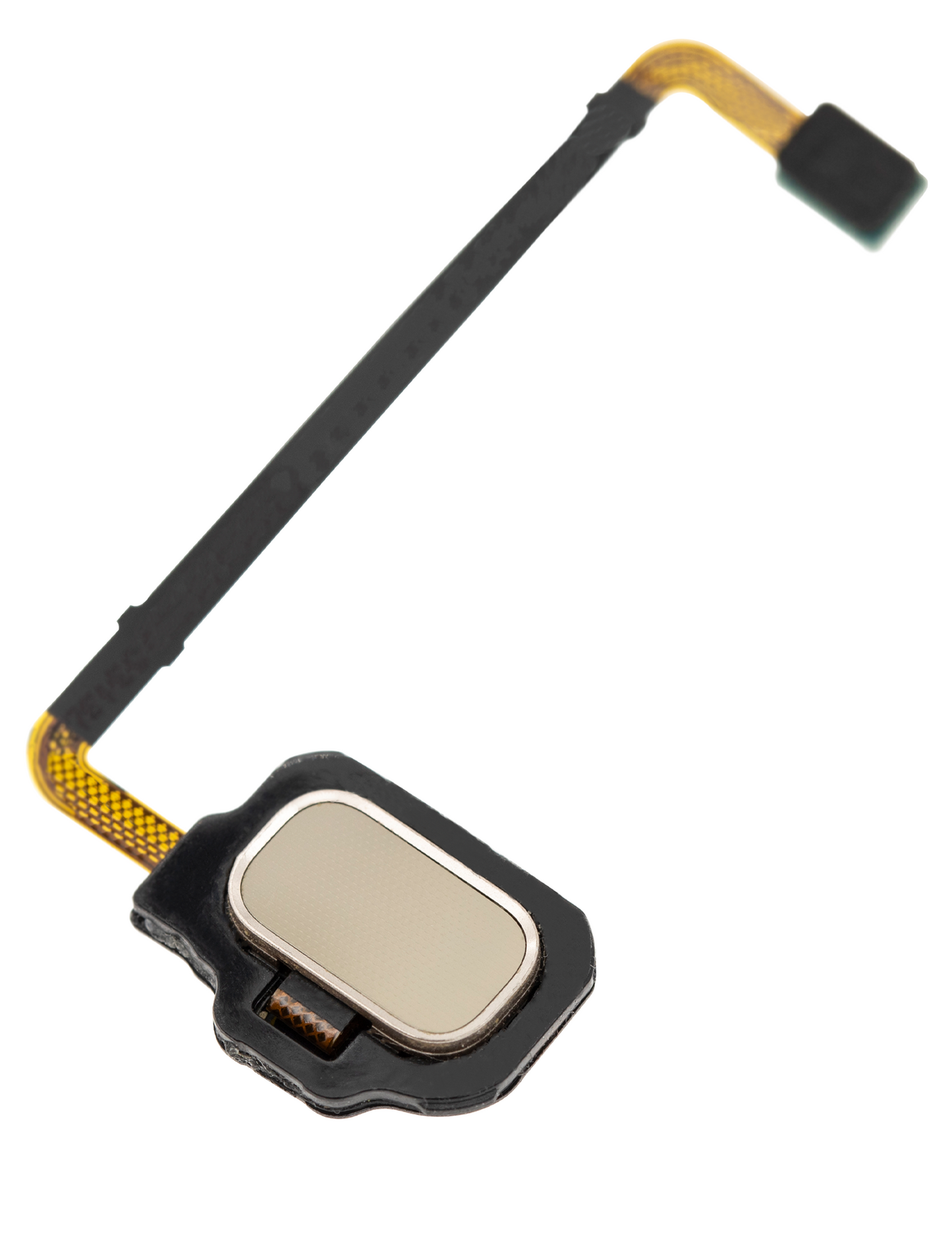 Fingerprint Reader With Flex Cable For Samsung Galaxy S8 Active (Tungsten Gold)