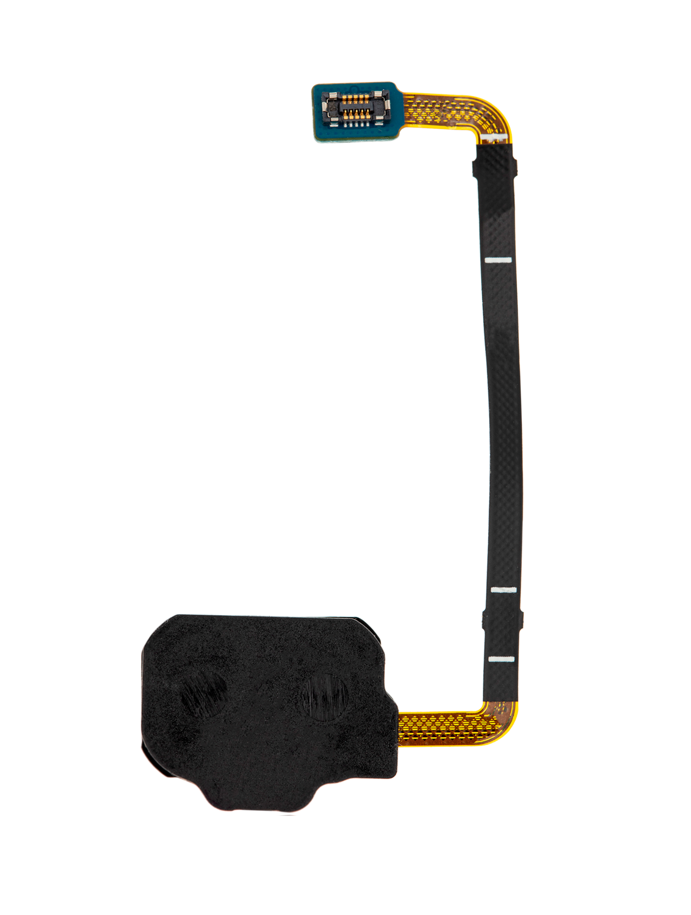 Fingerprint Reader With Flex Cable For Samsung Galaxy S8 Active (Blue)