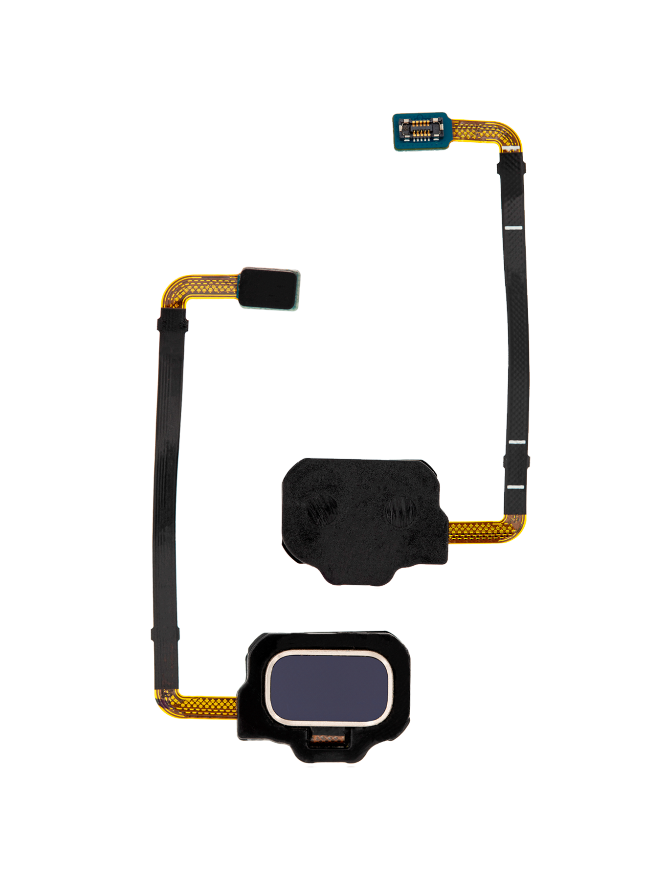 Fingerprint Reader With Flex Cable For Samsung Galaxy S8 Active (Blue)