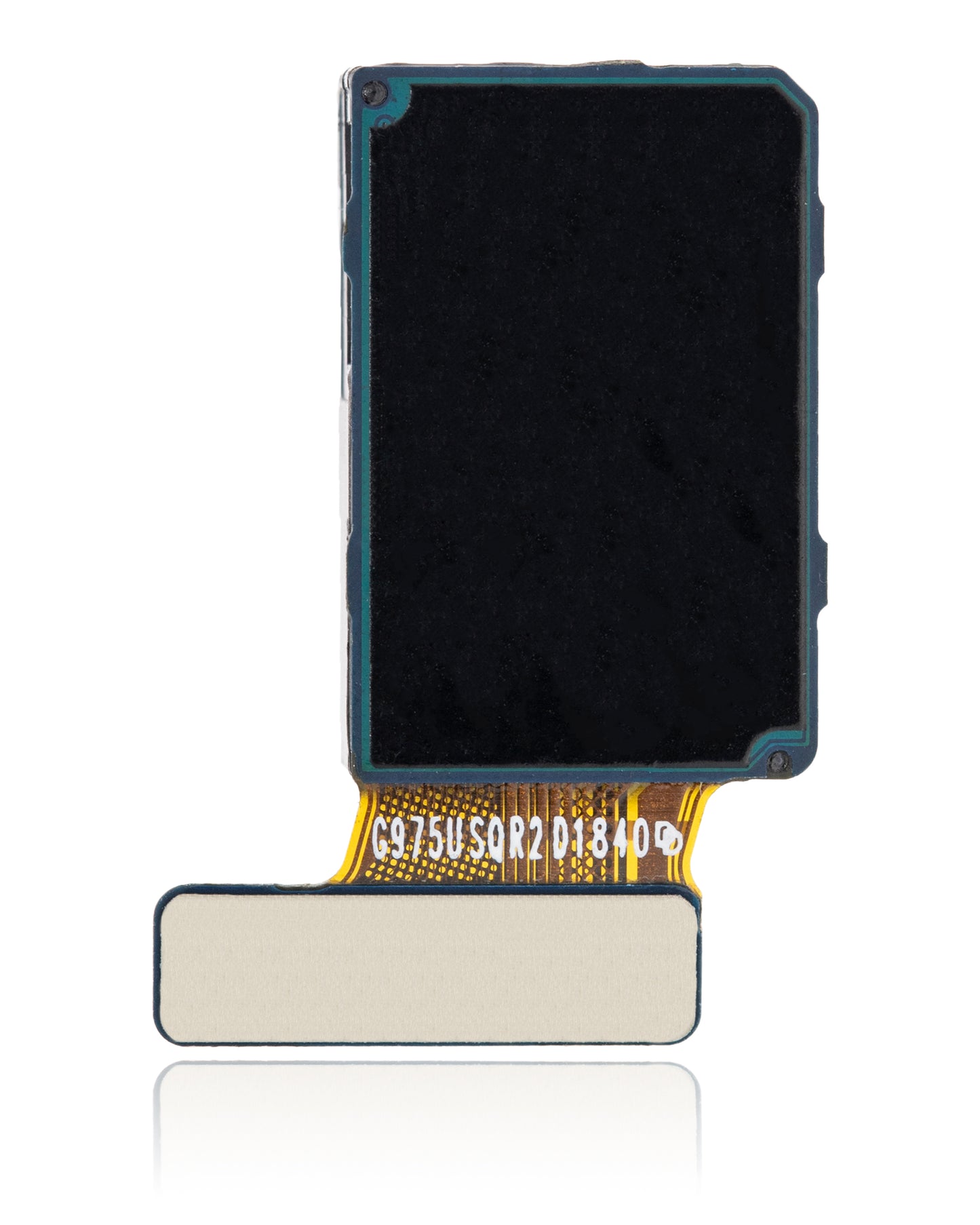 Front Camera For Samsung Galaxy S10 Plus (US Version)