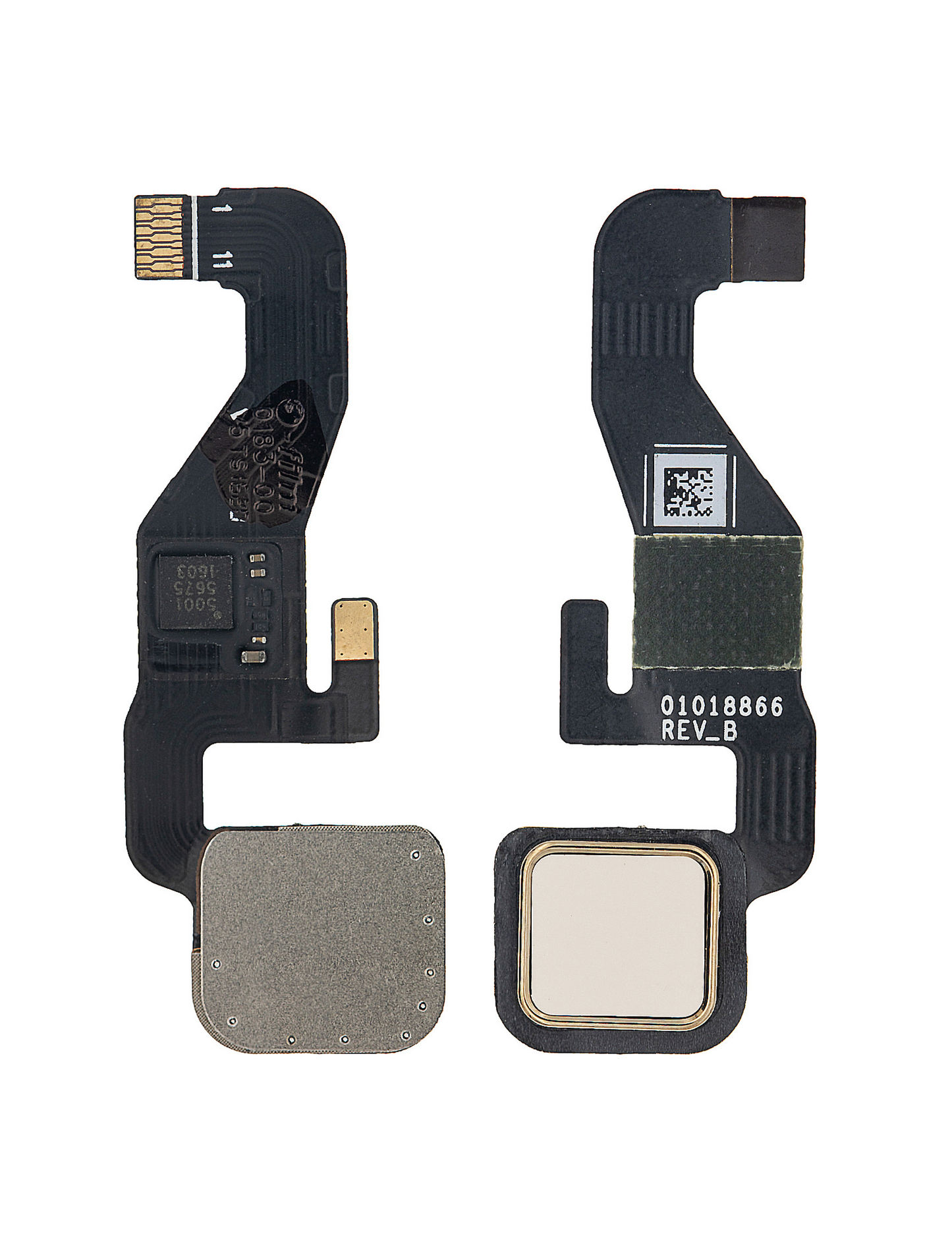 Home Button Flex Cable For Motorola Moto Z Droid (XT1650 / 2016) (Gold) - Motorola replacement part, additional product view, SKU 107082031332