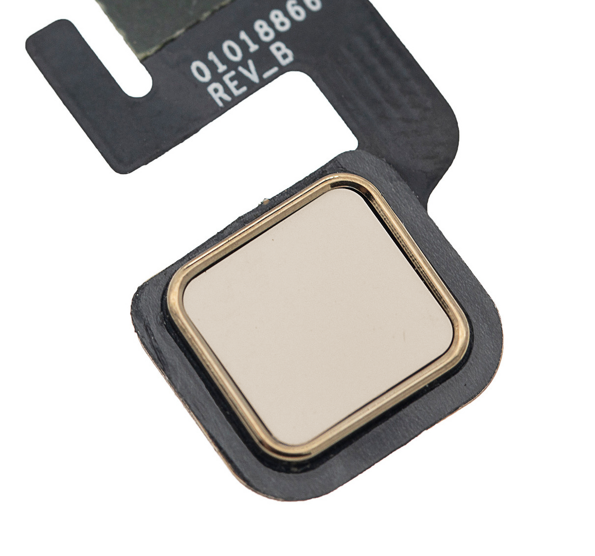 Home Button Flex Cable For Motorola Moto Z Droid (XT1650 / 2016) (Gold) - Motorola replacement part, secondary detail view, SKU 107082031332