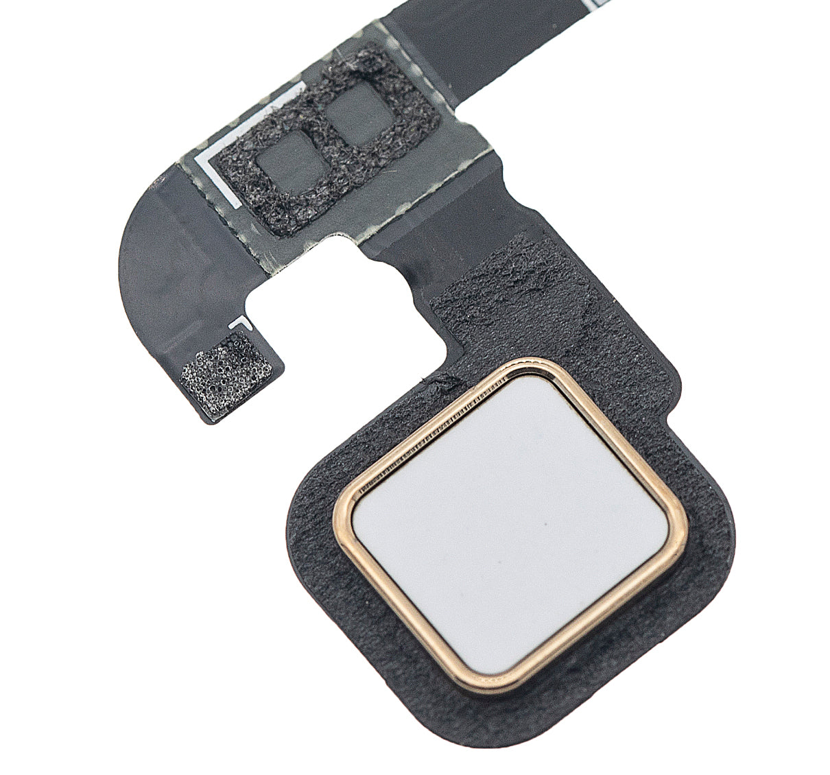 Home Button With Flex Cable For Motorola Moto Z Play Droid (XT1635 / 2016) (White) - Motorola replacement part, secondary detail view, SKU 107082031423
