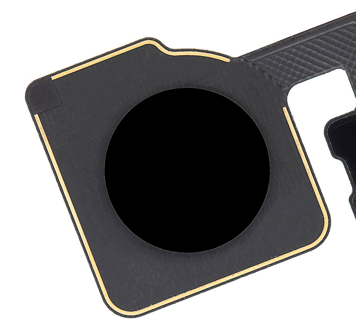 Fingerprint Sensor Flex For Google Pixel 2 XL (Black) - repair component detailed angle