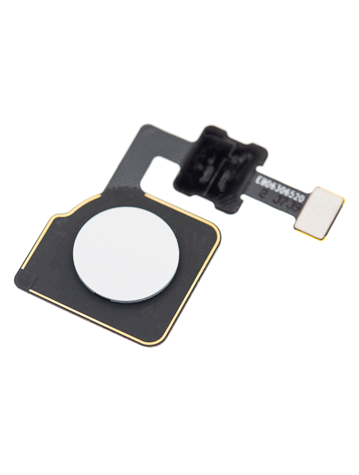 Fingerprint Sensor Flex For Google Pixel 2 XL (White) - phone repair part close-up