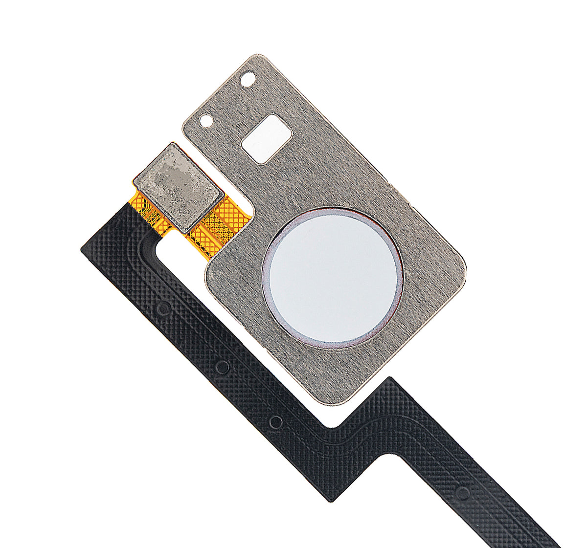 Fingerprint Sensor Cable For Google Pixel 3 XL (Clearly White) - repair component alternate view
