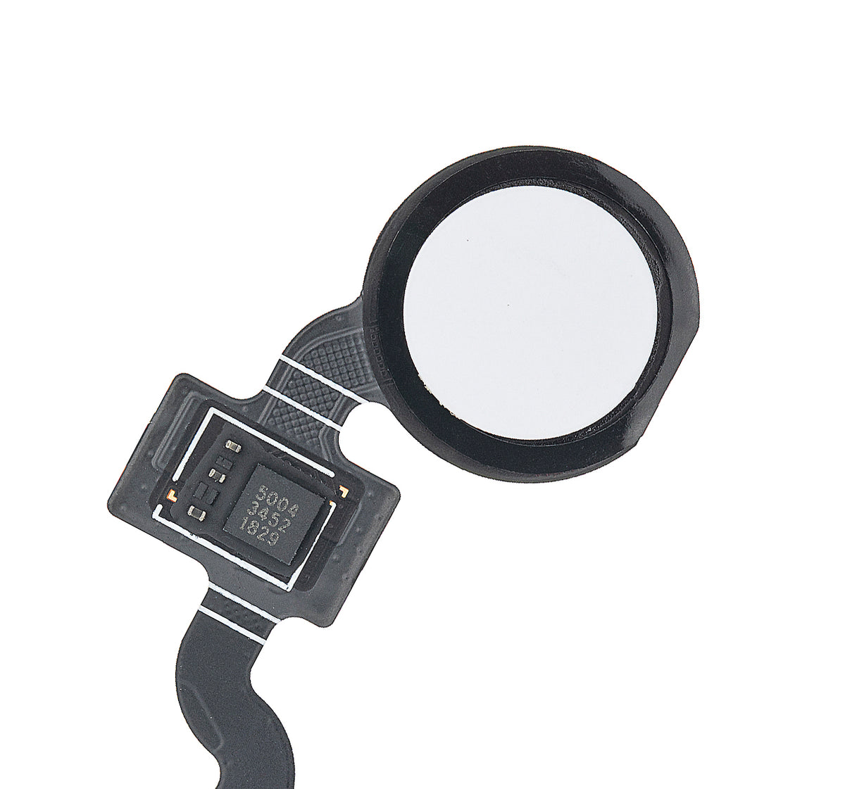 Fingerprint Sensor Flex For Google Pixel 3a XL (Clearly White) - repair component detailed angle