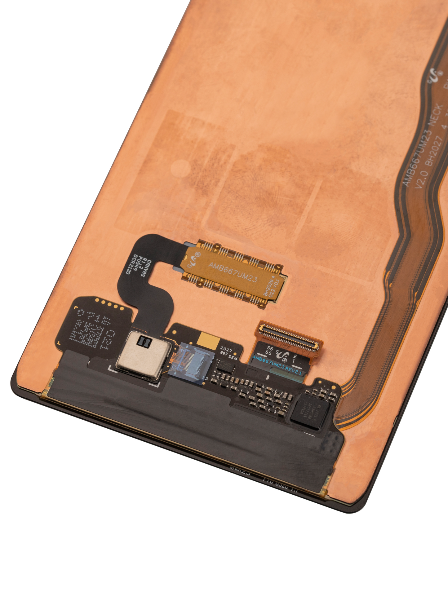 OLED Assembly Without Frame For Samsung Galaxy Note 20 5G (Refurbished) (All Colors)