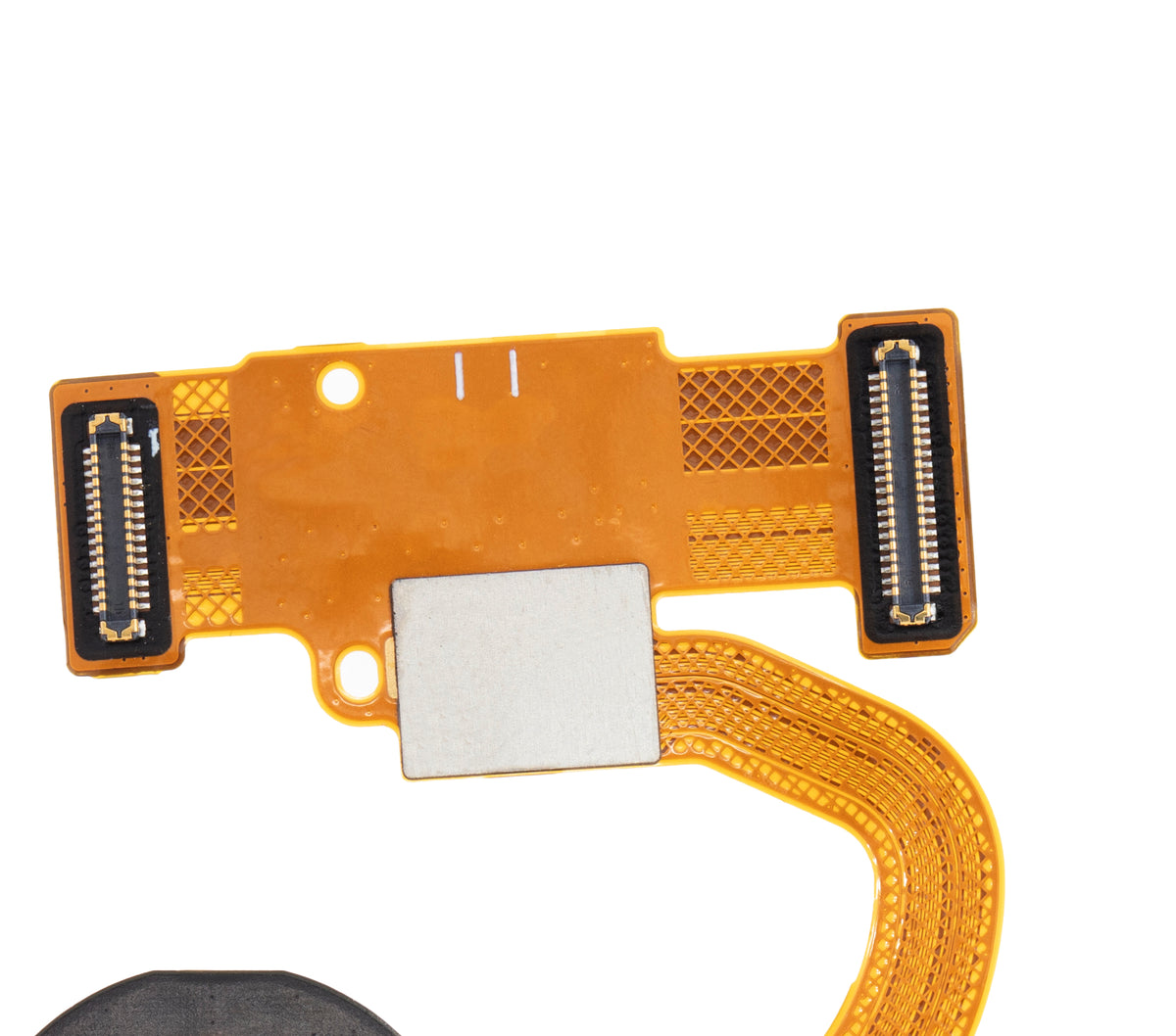 Fingerprint Reader With Flex Cable For Google Pixel 5 (White) - phone repair part close-up