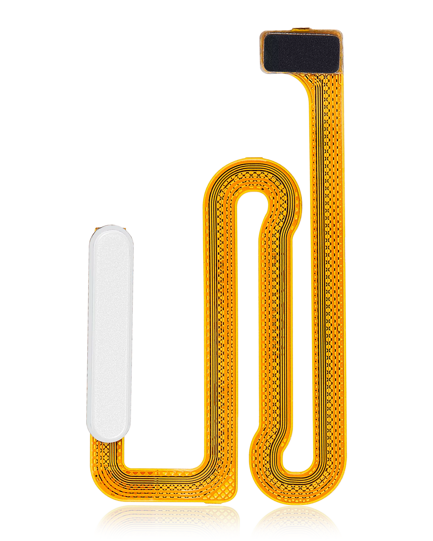 Fingerprint Reader With Flex Cable For Samsung Galaxy A04s (A047 / 2022) (White) replacement part product image 1 - SKU 107082129725