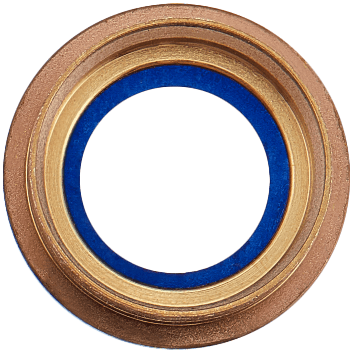 Back Camera Lens For iPad Pro 12.9" 2nd Gen (2017) (Gold)