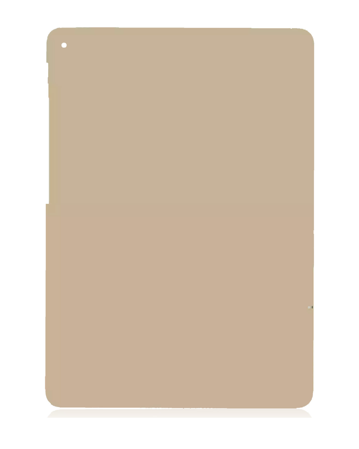Bottom Skin For iPad Air 2 (Cellular) (Gold)
