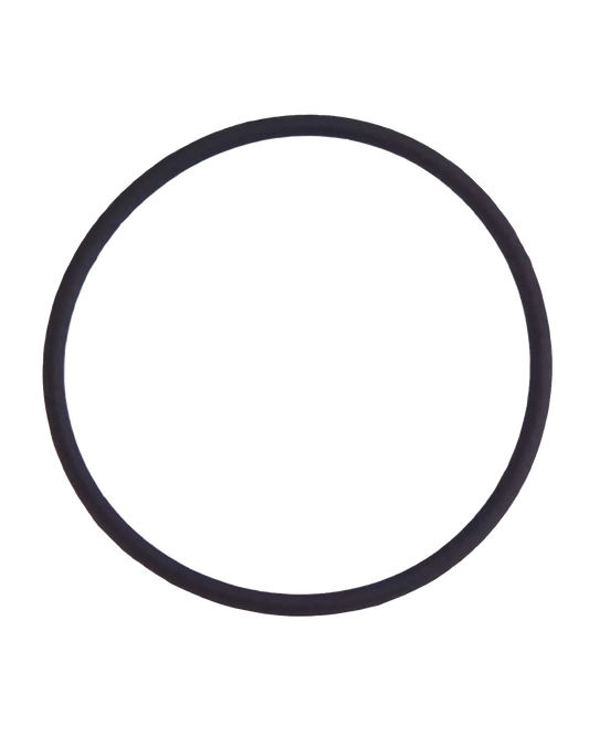 Back Camera Lens O-Ring Gasket For iPhone 7 Plus (100 Pack)