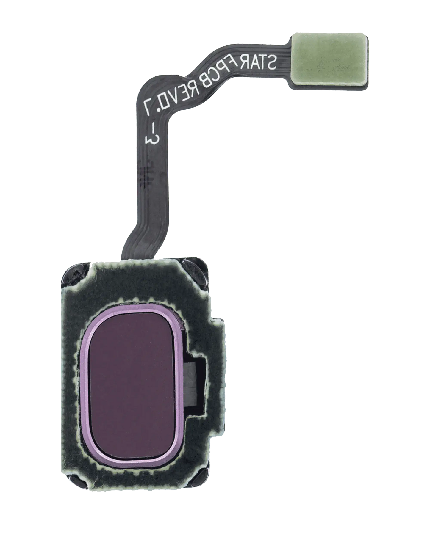Fingerprint Reader With Flex Cable For Samsung Galaxy S9 / S9 Plus (Lilac Purple)