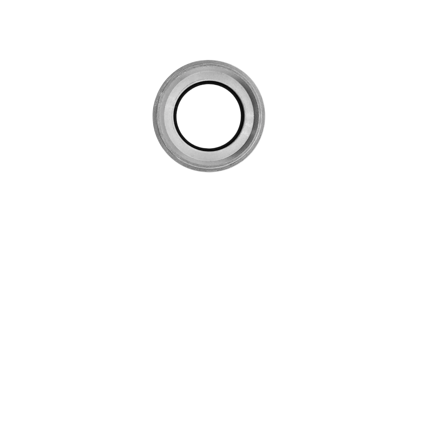 Back Camera Lens For iPhone 6 Plus / 6S Plus (Silver) (10 Pack)