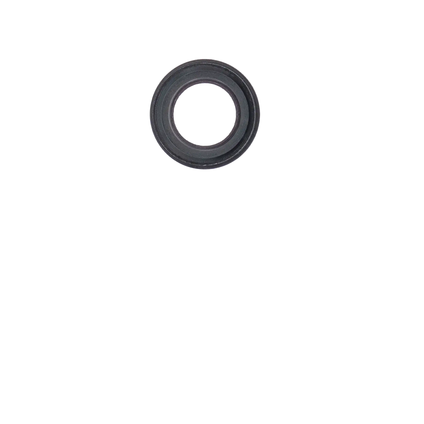 Back Camera Lens For iPhone 6 Plus / 6S Plus (Space Gray) (10 Pack)