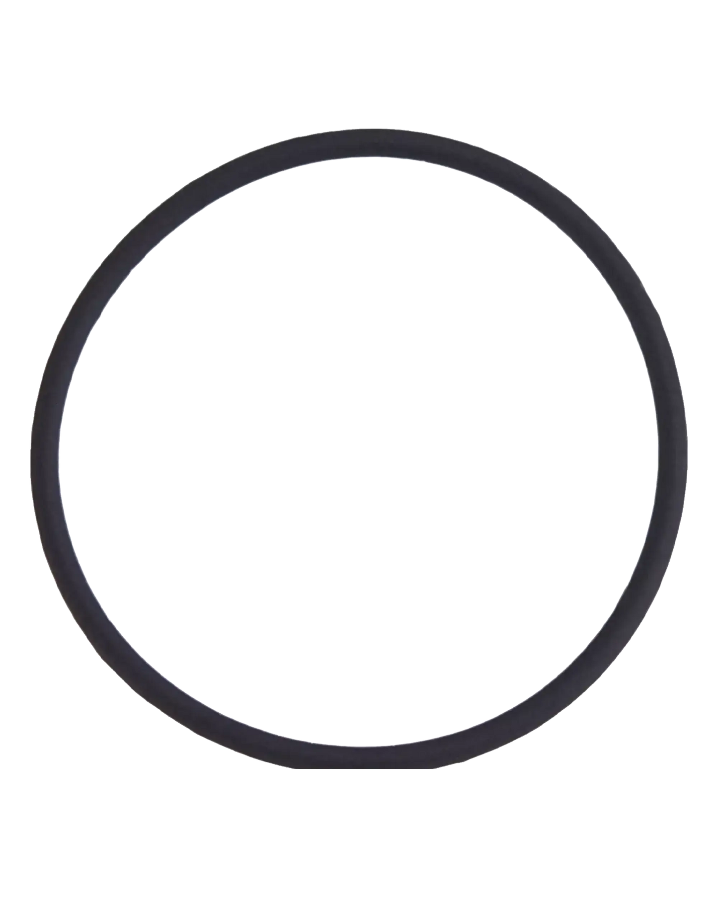 Back Camera Lens O-Ring Gasket For iPhone 8 Plus (100 Pack)