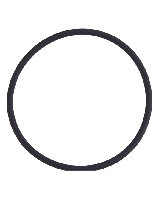 Back Camera Lens O-Ring Gasket For iPhone 8 Plus (100 Pack)