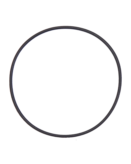 Back Camera Lens O-Ring Gasket For iPhone X / XS / XS Max (100 Pack)