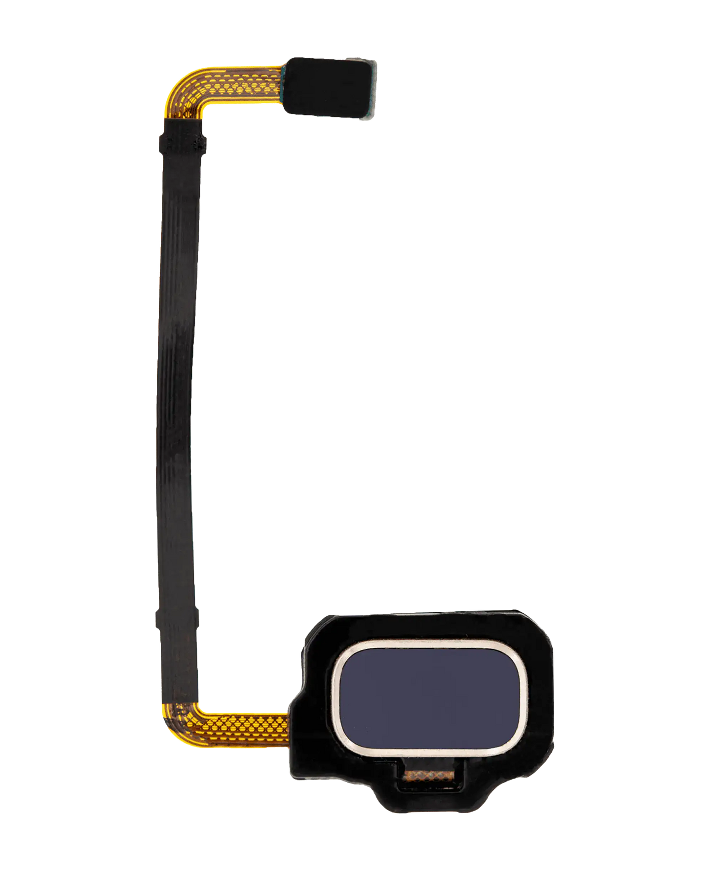 Fingerprint Reader With Flex Cable For Samsung Galaxy S8 Active (Blue)