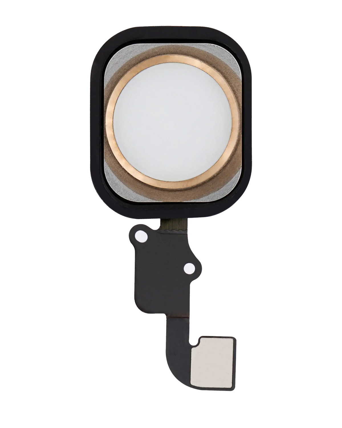 Home Button With Flex For iPhone 6 / 6 Plus (Gold)