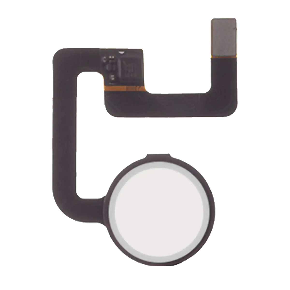 Home Button With Flex Cable For Google Pixel / Pixel XL (White) - replacement part product view