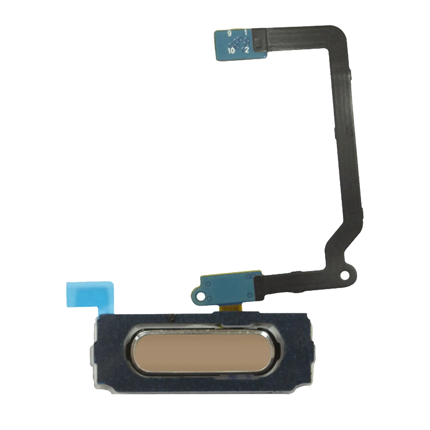 Home Button With Flex Cable For Samsung Galaxy S5 (Gold)