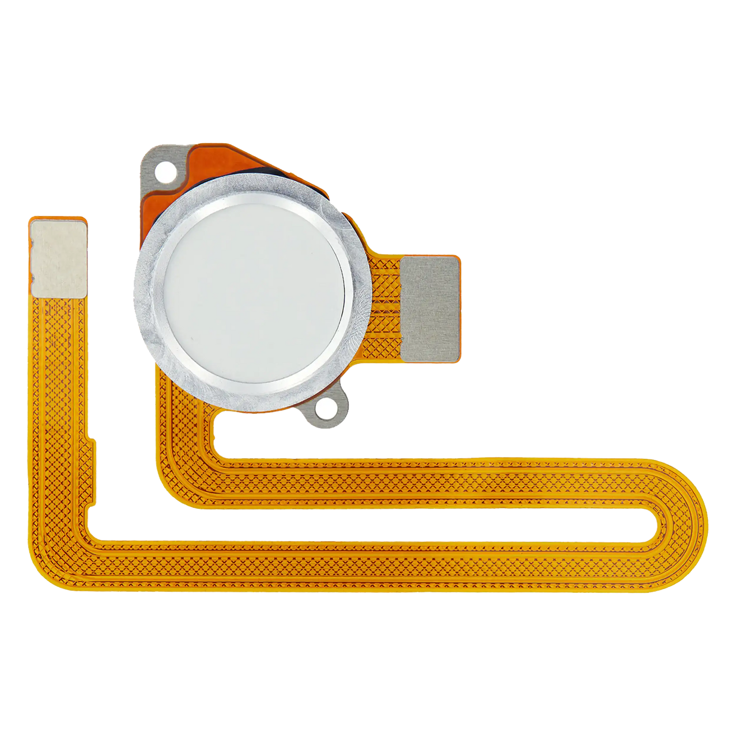 Fingerprint Reader With Flex Cable For Motorola Moto G8 Power (XT2041-1 / XT2041-3 / 2020) (White) | compatible mobile phone replacement part | SKU 107082082325 | product image 1