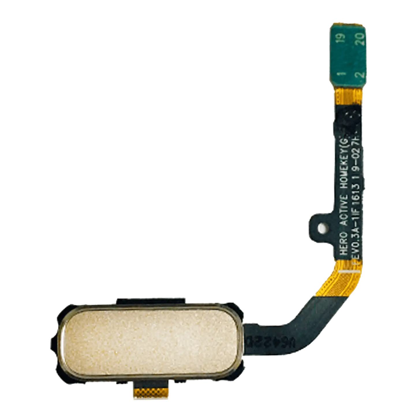 Home Button Flex Cable For Samsung Galaxy S7 Active (Sandy Gold)