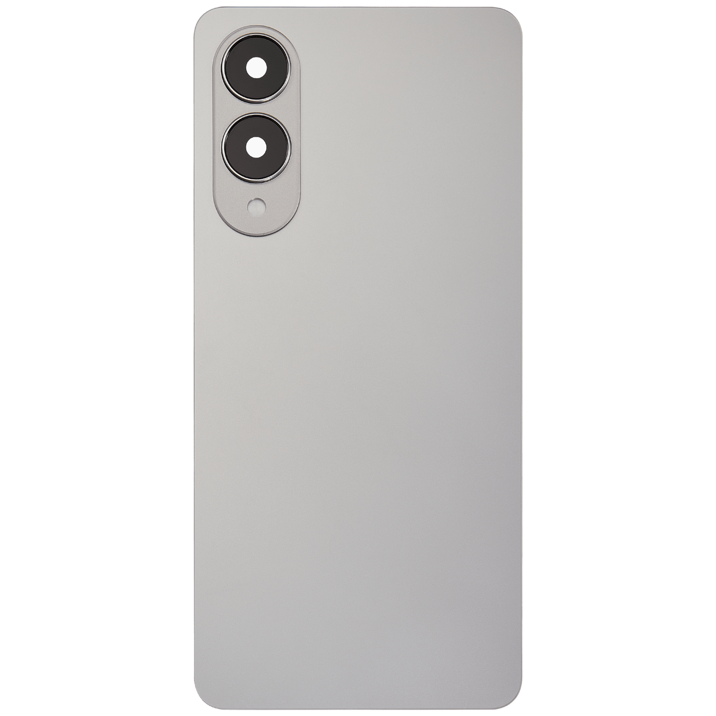 Back Cover Glass With Camera Lens For Samsung Galaxy S25 Edge (No Logo) (Aftermarket Plus) (Titanium Silver)