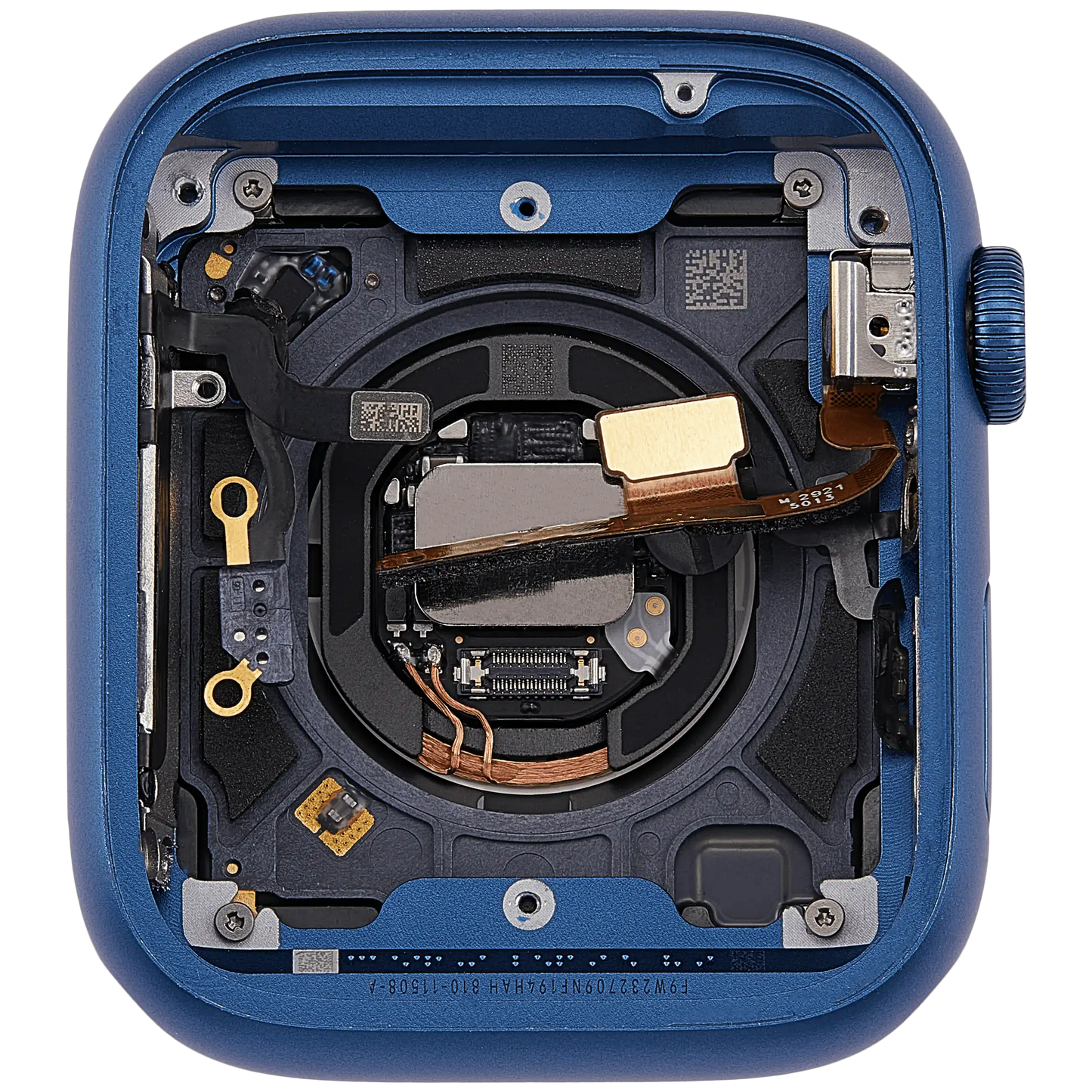 Housing Assembly Compatible For Watch Series 7 (45MM) (Used OEM Pull: Grade A) (Cellular Version) (Aluminum / Blue)