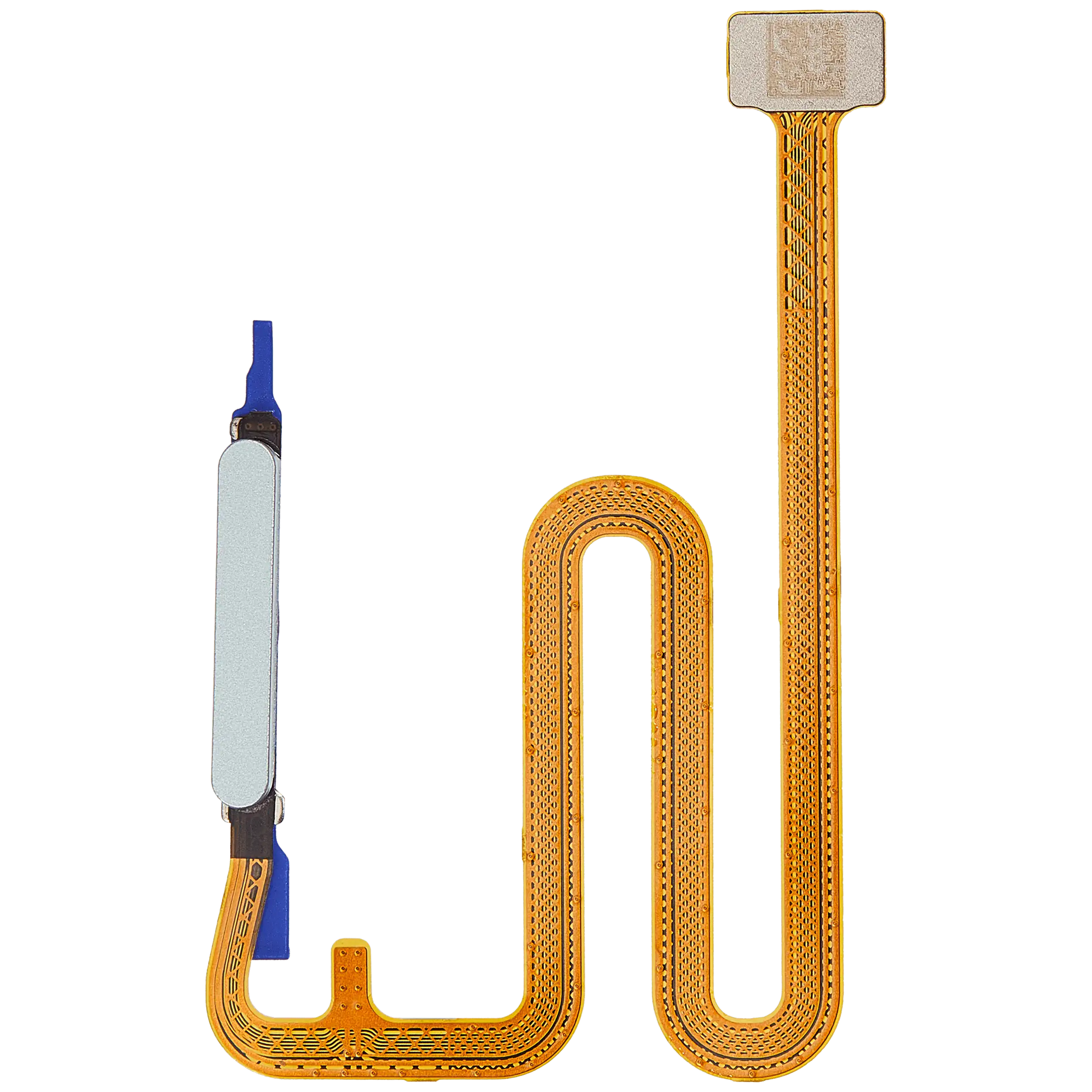 Fingerprint Reader With Flex Cable For Samsung Galaxy A06 5G (A066 / 2025) (Light Green) replacement part product image 1 - SKU 107182200430