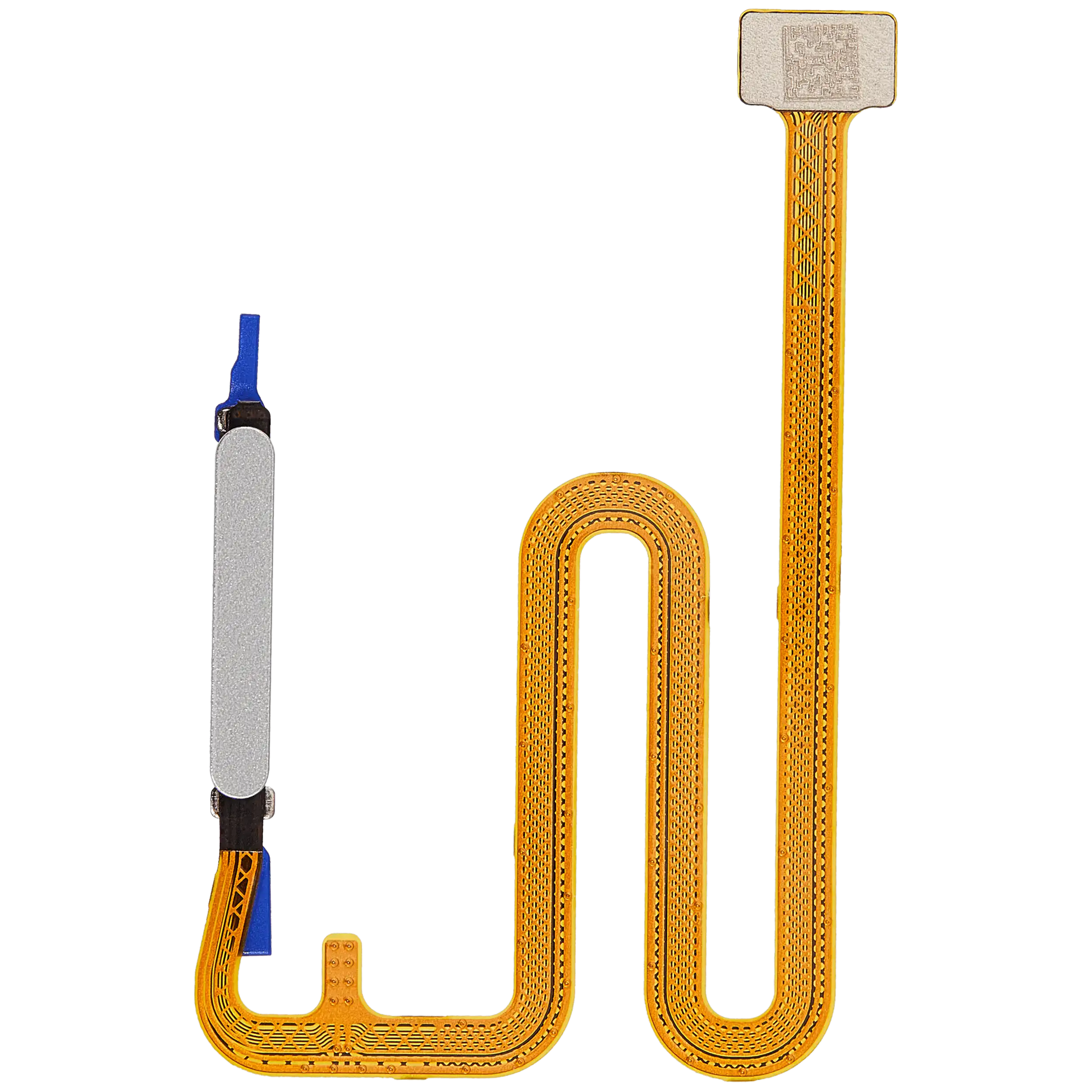 Fingerprint Reader With Flex Cable For Samsung Galaxy A06 5G (A066 / 2025) (Gray) replacement part product image 1 - SKU 107182200429