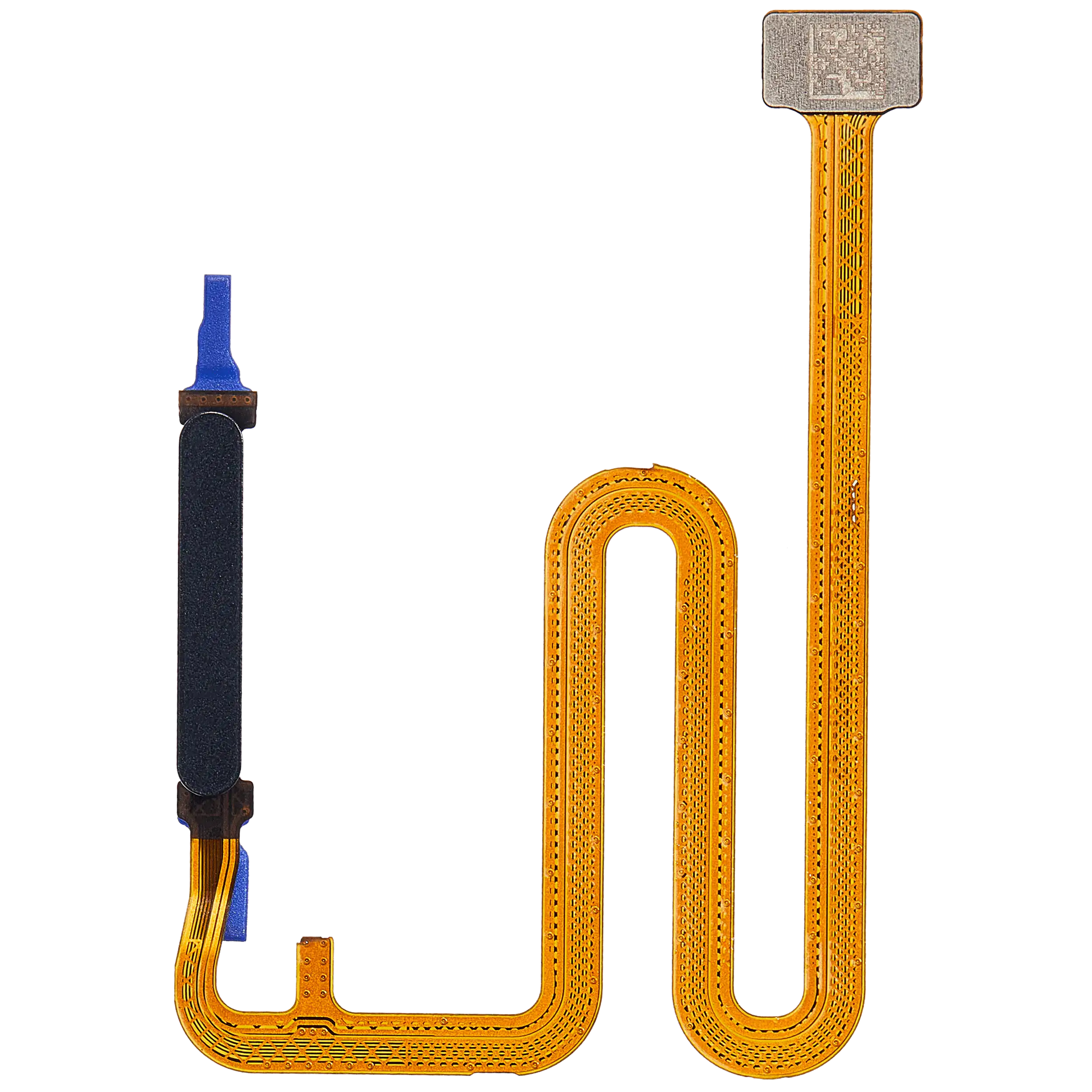 Fingerprint Reader With Flex Cable For Samsung Galaxy A06 5G (A066 / 2025) (Black) replacement part product image 1 - SKU 107182200428