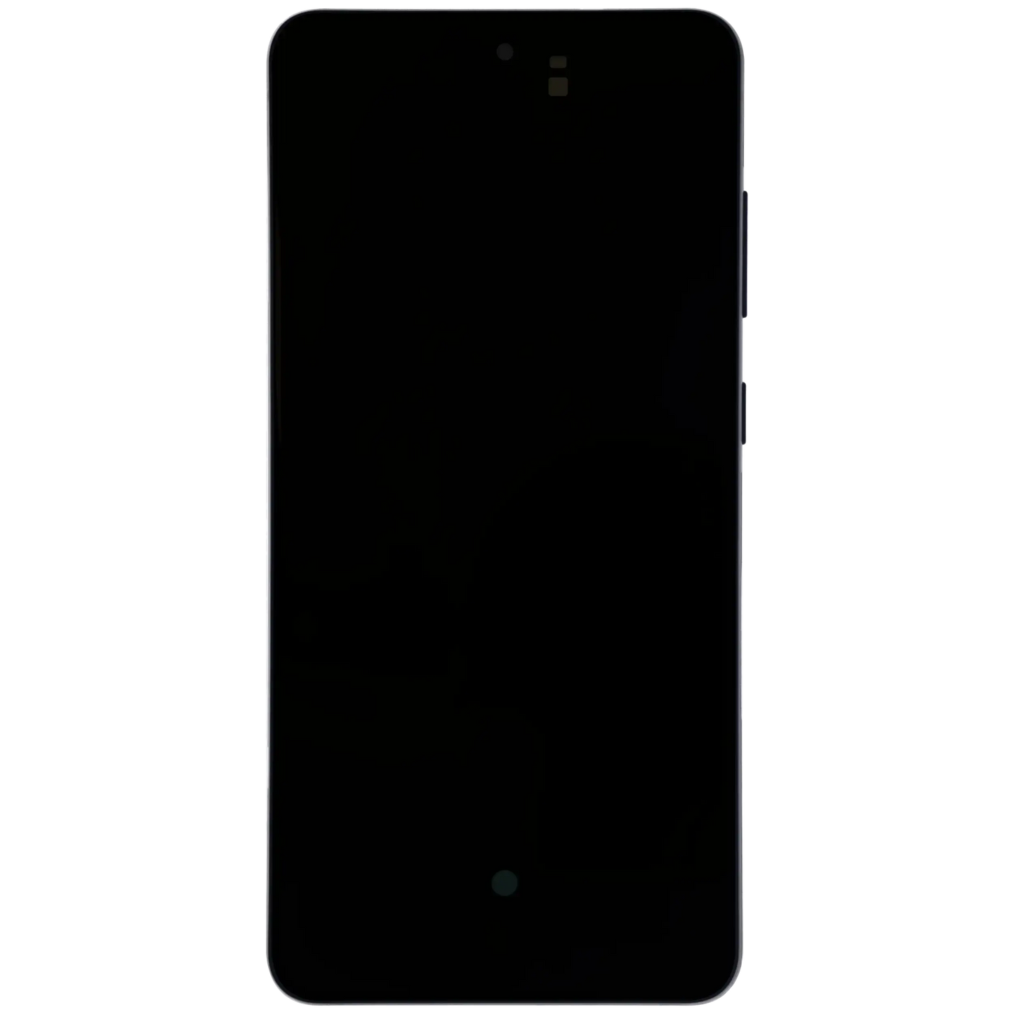 OLED Assembly With Frame For Samsung Galaxy S21 FE 5G (US & International) (Service Pack) (Blue)