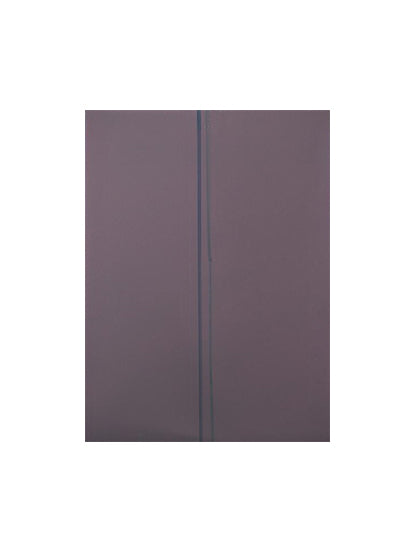 Polarizer Film For iPad Pro 10.5" (Premium) (10 Pack)
