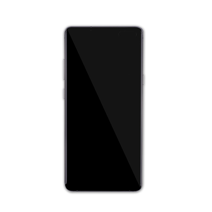 OLED Assembly With Frame For Samsung Galaxy S10 5G (Service Pack) (Crown Silver)